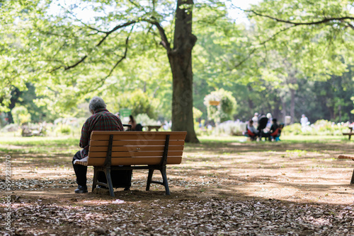 公園のベンチにひとりで座る男性高齢者