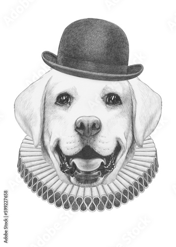 Portrat of Labrador with Elizabethan Collar and Bowler Hat. Hand-drawn illustration © Victoria Novak