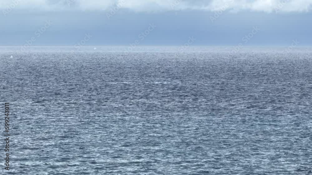 Whales Breaching And Spouting In The Ocean; Lahaina Pali Lookout In Maui.