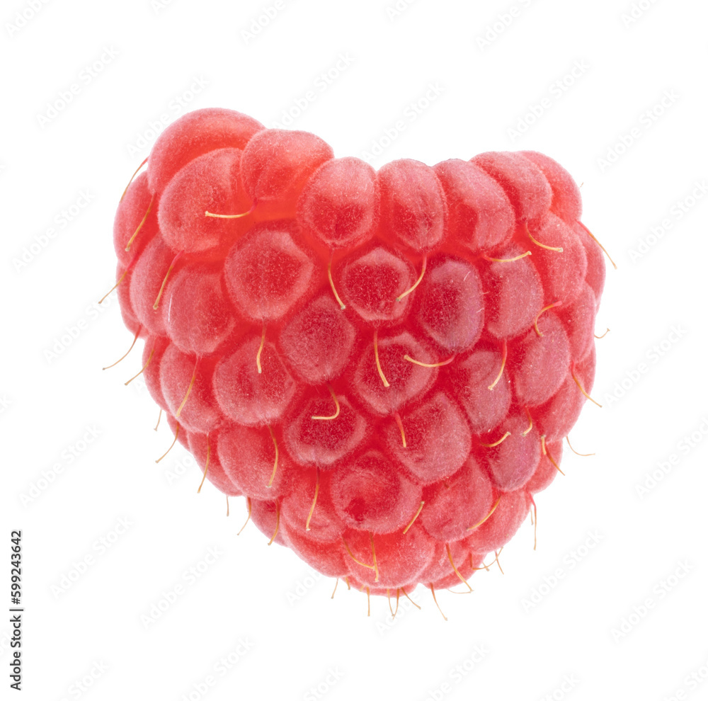 isolated close-up photo of raspberry isolated close-up photo of raspberry