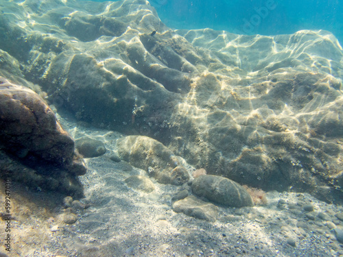 Veduta subacquea dei fondali di Fondaco del Prete  photo