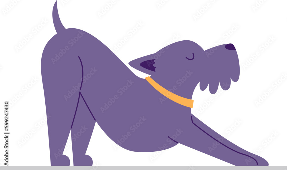 Obraz premium Dog Doing Yoga