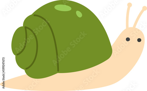 Snail Insect Animal