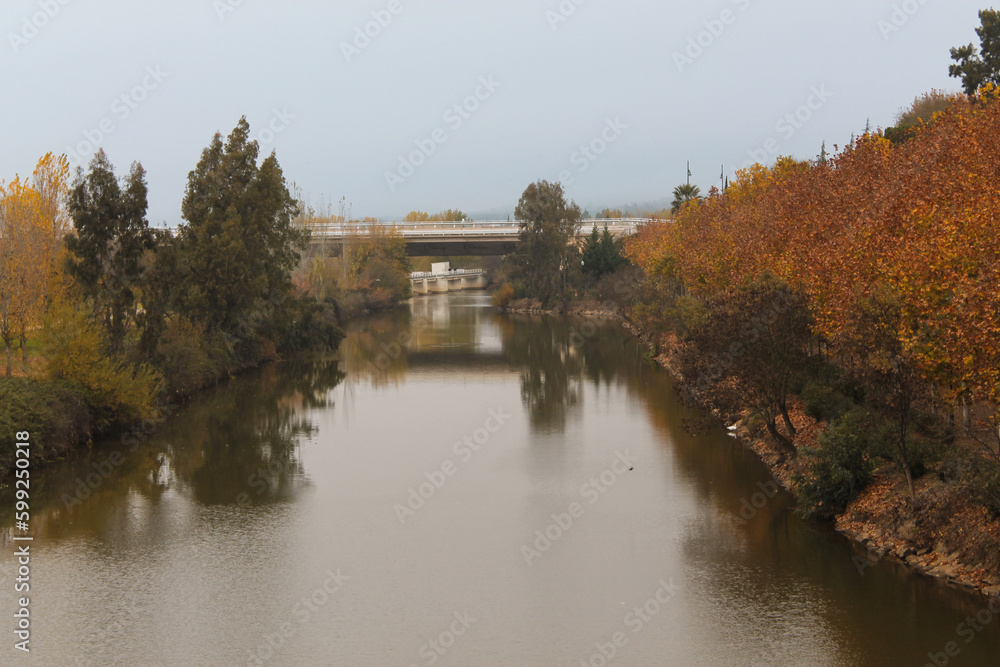 Fototapeta premium Beautiful river during autumn in Merida, Spain.
