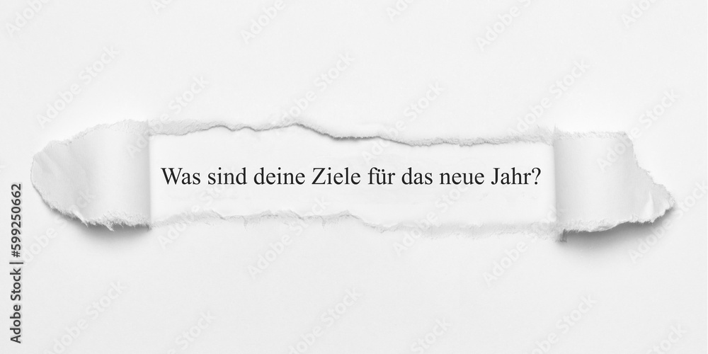 Fototapeta premium Was sind deine Ziele für das neue Jahr?