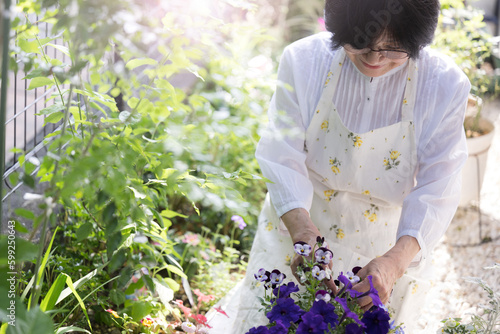 園芸 庭の手入れをする高齢女性のイメージ　コピースペースあり うつむいて微笑む