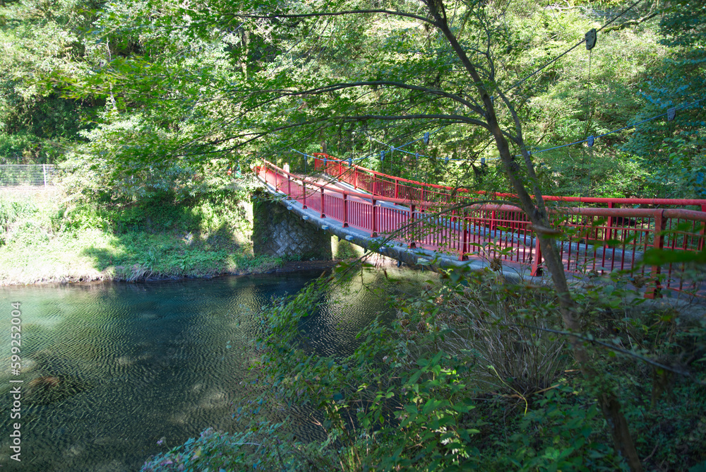 渓谷を駆ける赤い橋