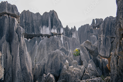 The view of Naigu Shilin limestone pinnacles Stone Forest, Yunnan Province, China. The Stone Forest or Shilin is a UNESCO World Heritage Sites near Kunming. Horizontal background