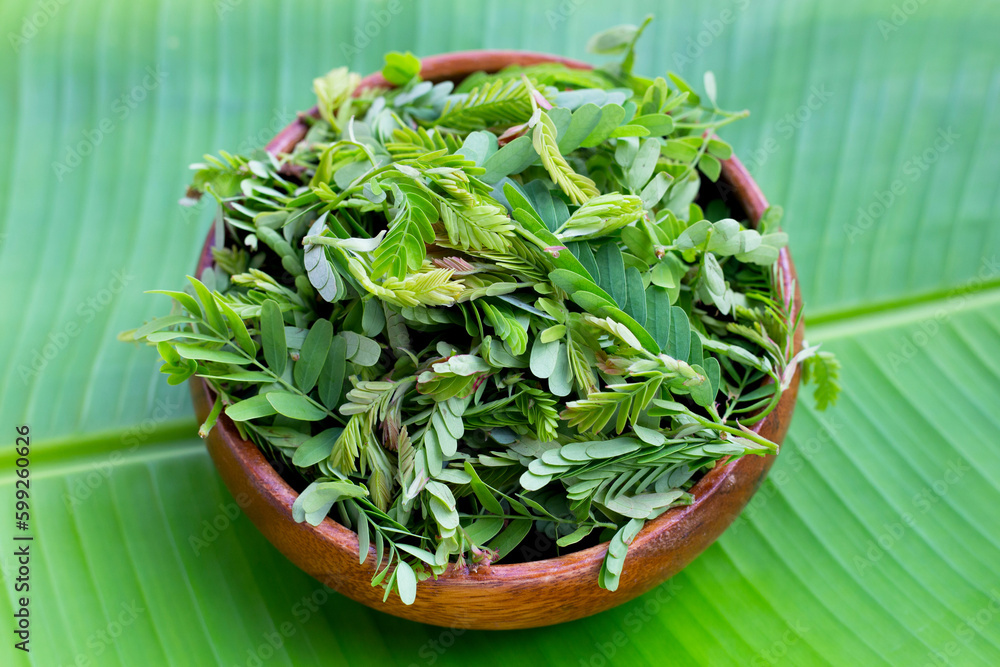 Young tamarind leaves on banana leaf Young tamarind leaves on banana leaf