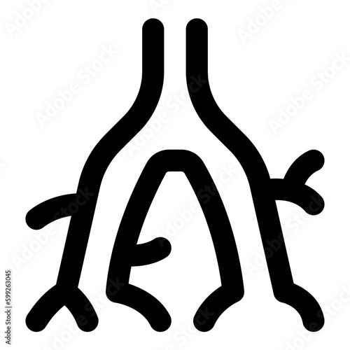 bronchus
