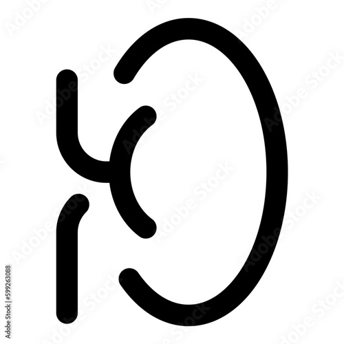 kidney