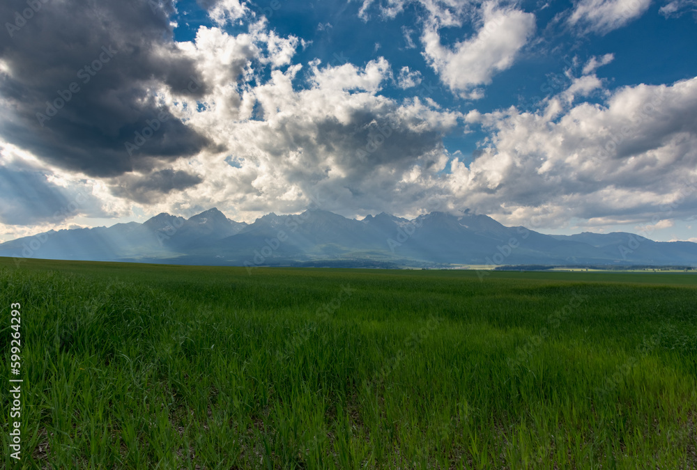 Grass steppe with Tatra mountains in the background Grass steppe with Tatra mountains in the background