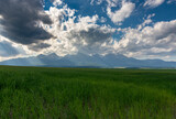 Grass steppe with Tatra mountains in the background