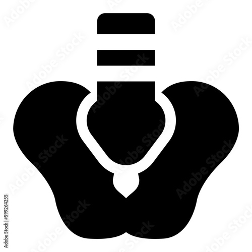 pelvis