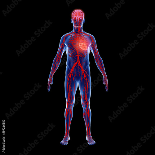 3d illustration high blood pressure (Hypertonie)
