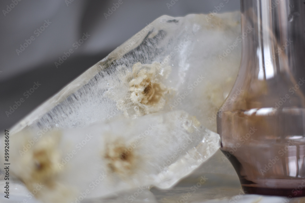 flowers in ice aesthetics minimalism flowers in ice aesthetics minimalism