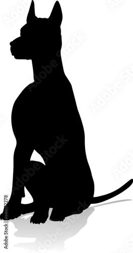 A detailed animal silhouett...