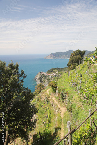 The panorama of CInque Terre national park and Corniglia village, Italy