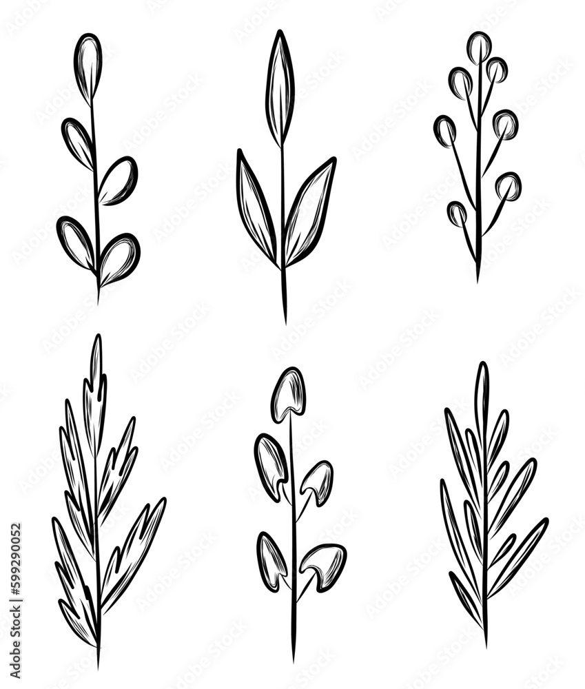 Set of hand drawn branch and leaves in sketch style Set of hand drawn branch and leaves in sketch style