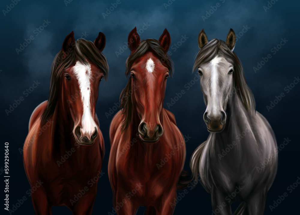 This is a digital drawing of three horses in a realistic style. The horses are depicted standing together, with their muscular bodies and flowing manes. This is a digital drawing of three horses in a realistic style. The horses are depicted standing together, with their muscular bodies and flowing manes.