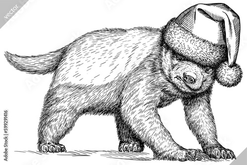 Vintage engraving isolated honey badger set dressed christmas illustration ink santa costume sketch. Ratel background tropical animal silhouette new year hat vector art. Black and white image.