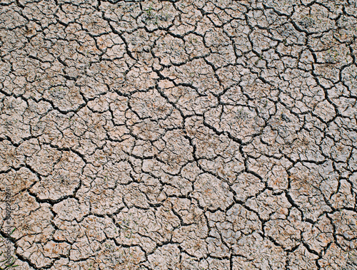 The clay surface is cracked by the dry season and the water shortage.