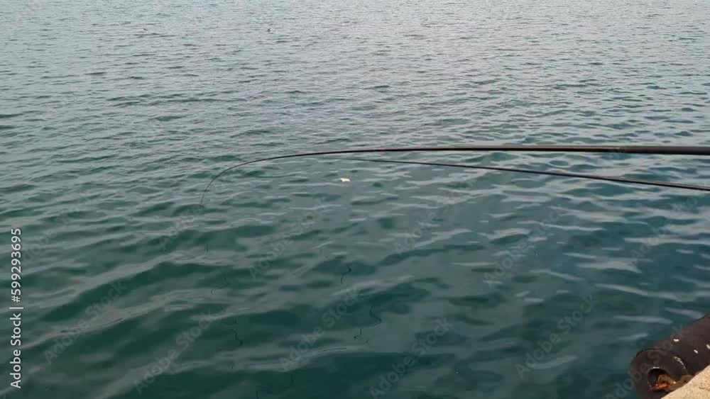 Sea fishing for sprat, fishing rods are rhythmically pulled into the sea from the shore to attract small fish. Fishing holidays Sea fishing for sprat, fishing rods are rhythmically pulled into the sea from the shore to attract small fish. Fishing holidays
