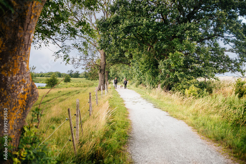Two women walking dogs on country road