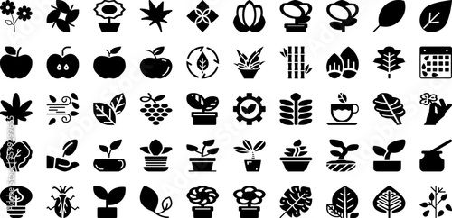 Leaf Icon Set Isolated Silhouette Solid Icons With Plant, Vector, Eco, Icon, Organic, Sign, Leaf Infographic Simple Vector Illustration