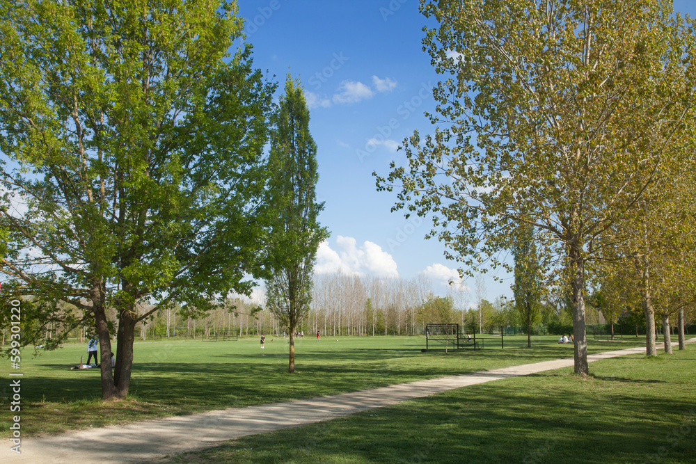 Obraz premium parc naturel avec une vaste prairie et des arbres pour l'ombrage