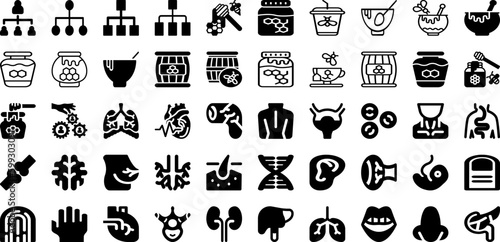 Organ Icon Set Isolated Silhouette Solid Icons With Human, Vector, Anatomy, Icon, Organ, Body, Symbol Infographic Simple Vector Illustration