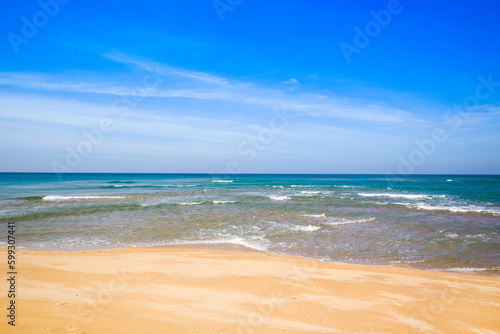 Beautiful landscape of the Indian Ocean coast