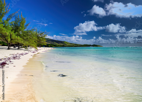 beach with palm trees