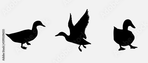 isolated black silhouette of a duck   vector collection