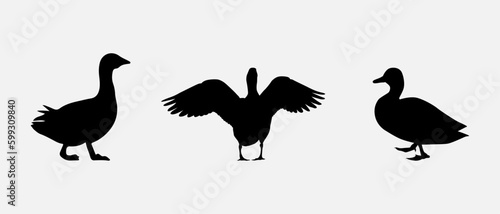 isolated black silhouette of a duck , vector collection