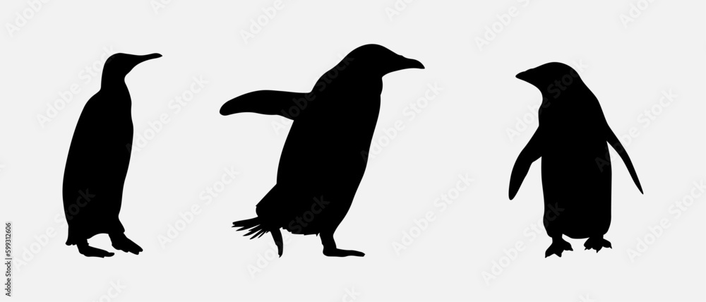 Fototapeta premium isolated black silhouette of a penguin , vector collection