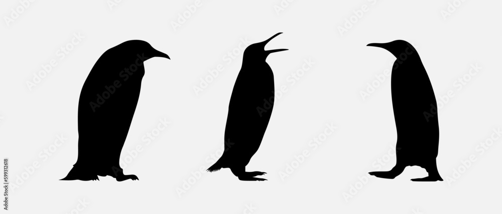 Fototapeta premium isolated black silhouette of a penguin , vector collection