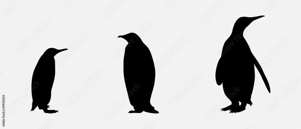 Naklejka premium isolated black silhouette of a penguin , vector collection