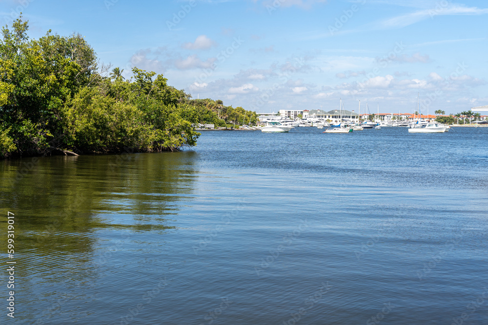 Naples Florida Marina with Mangroves 