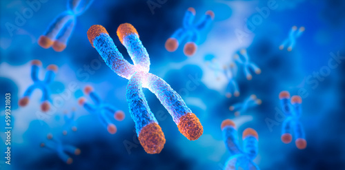 Chromosomes with Telomere floating on blue background - science and anti aging technology - 3D illustration photo