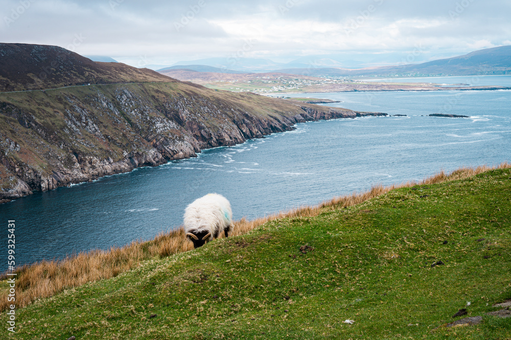 Obraz premium Achill island scenes