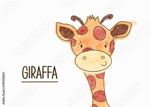 Giraffa photo