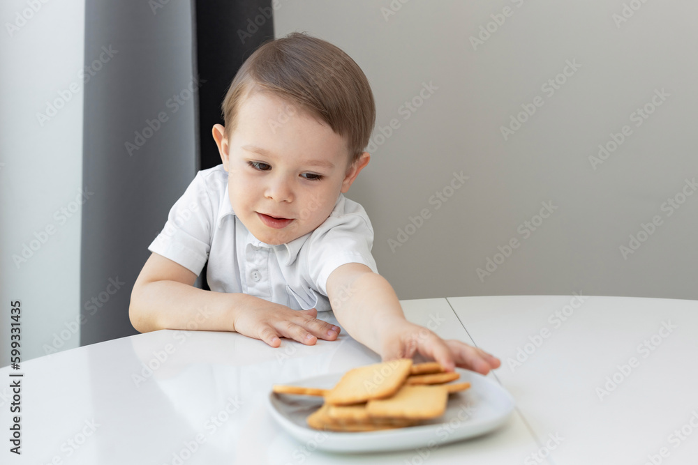 The concept of children and sweets. Cute little boy craves cookies, sweet tooth The concept of children and sweets. Cute little boy craves cookies, sweet tooth