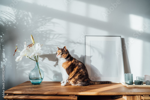 Modern minimalist style interior with white poster mockup, candles, lily flowers in vase and relaxed cat on a wooden console under sunlight and home plants shadows on a gray wall. Selective focus