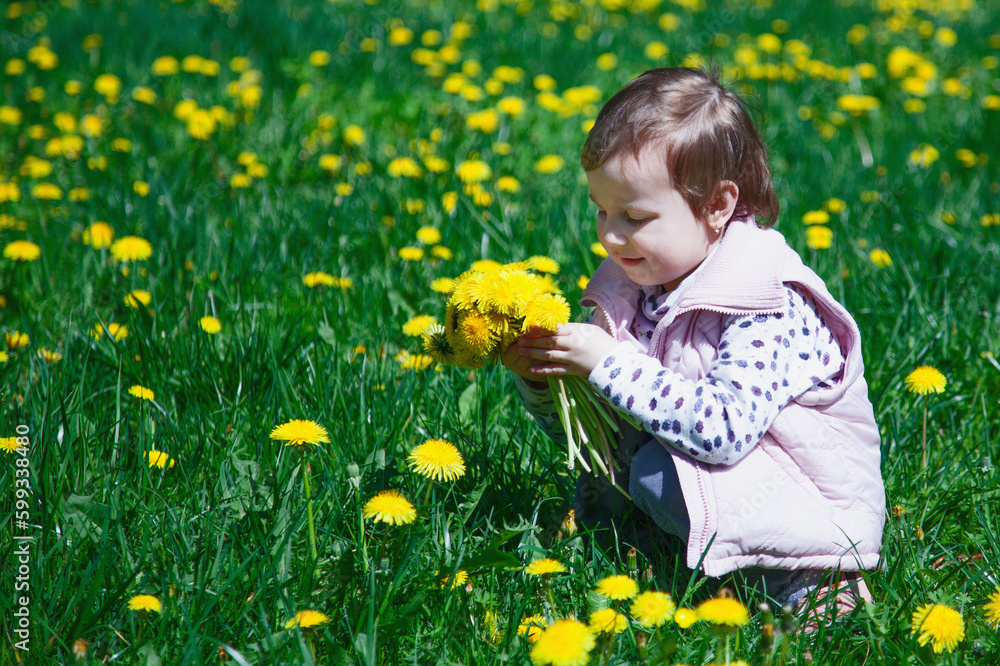Fototapeta premium Happy childhood. Beautiful little child girl collects bouquet of wildflowers. Place for text. (Recreation, summer, nature, vacation concept). Horizontal image