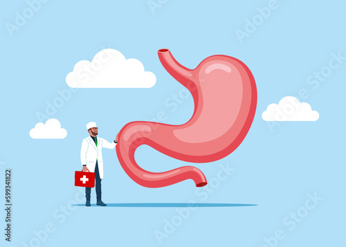 The physician, specialist holds a big sign - Stomach icon. Human internal organs symbol. Digestive system anatomy. Health care sign. Design element for gastroenterology, medicine, biology.