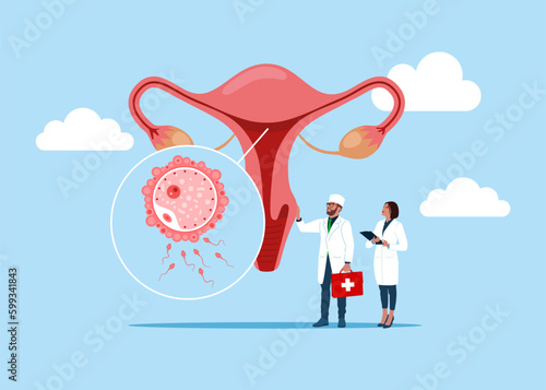 The physician, specialist holds a big sign - female reproductive system. Tracking menstrual cycle and female reproductive system. Menstruation calendar. Female menstrual cycle. Vector illustration. 
