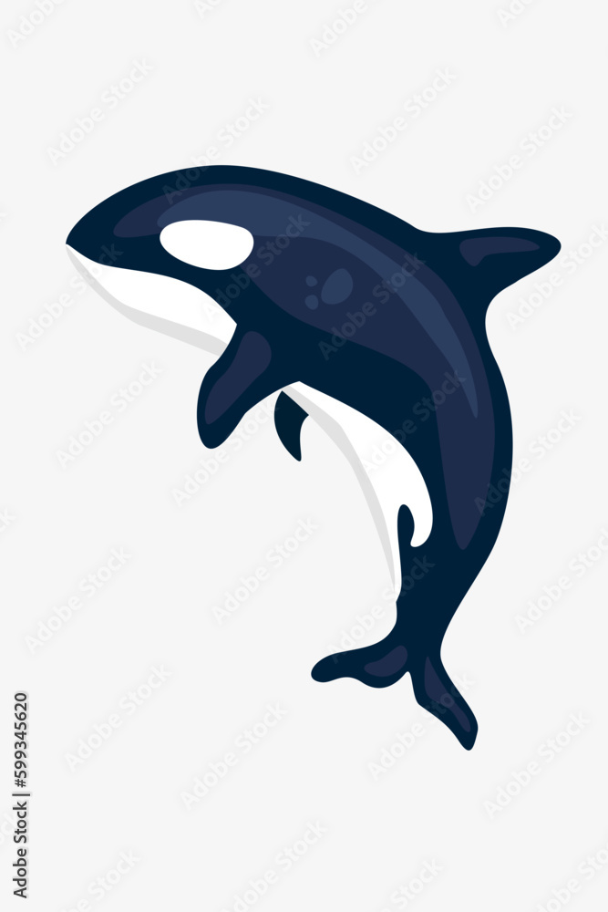 Fototapeta premium Vector killer whale (an orca)