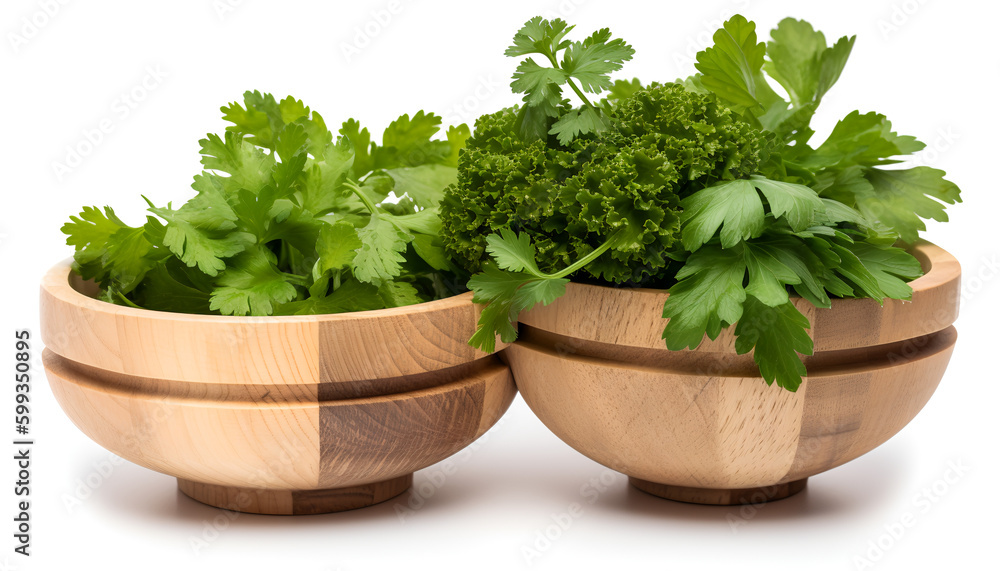 Fresh herbs in a wooden bowl: coriander, parsley, cilantro, and basil. Fresh herbs in a wooden bowl: coriander, parsley, cilantro, and basil.