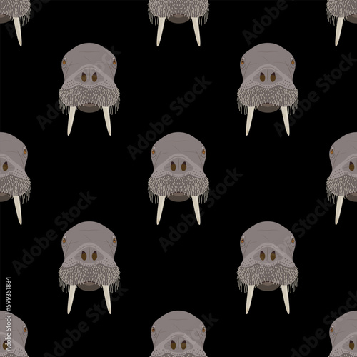 Seamless animal pattern with walrus heads. Odobenus rosmarus. Cartoon style. On black background.